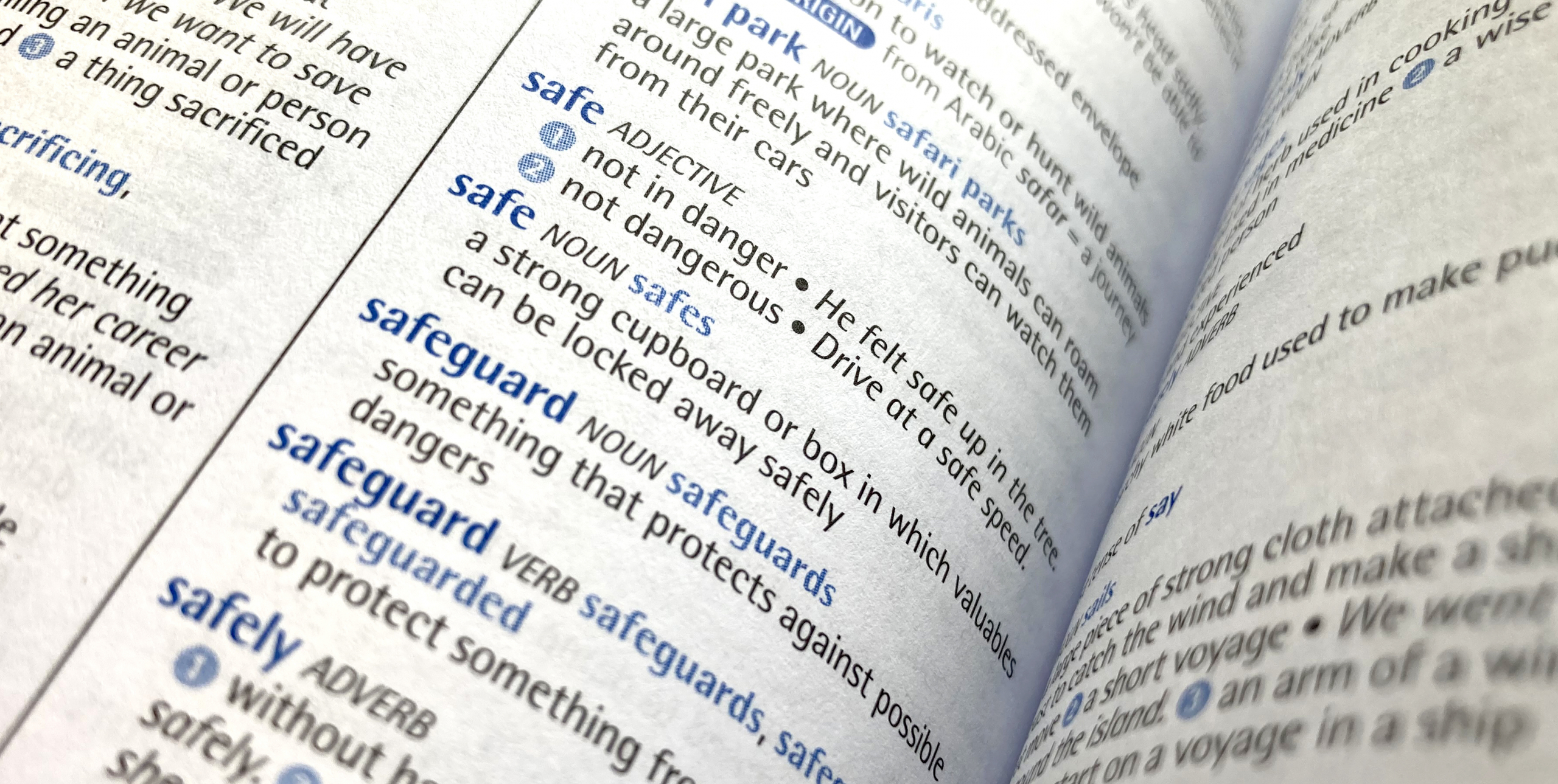 Safeguarding